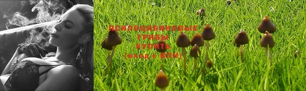 гидропоника Вуктыл