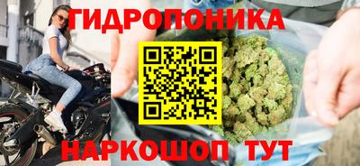 спайс Кулебаки