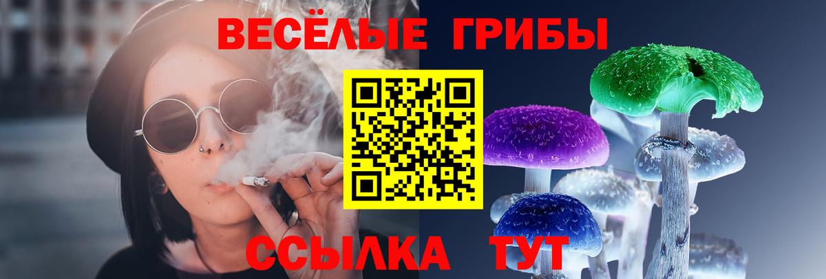 Карасук  Галлюциногенные грибы мухоморы  Вход с VPN  Галлюциногенные грибы Magic Shrooms 
