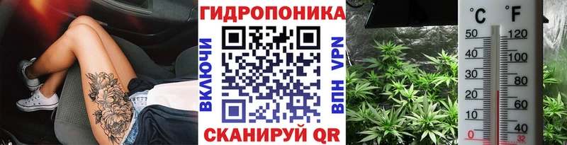 где купить наркоту  Карасук  ссылка на мегу как зайти  нарко площадка клад  Шишки марихуана OG Kush 